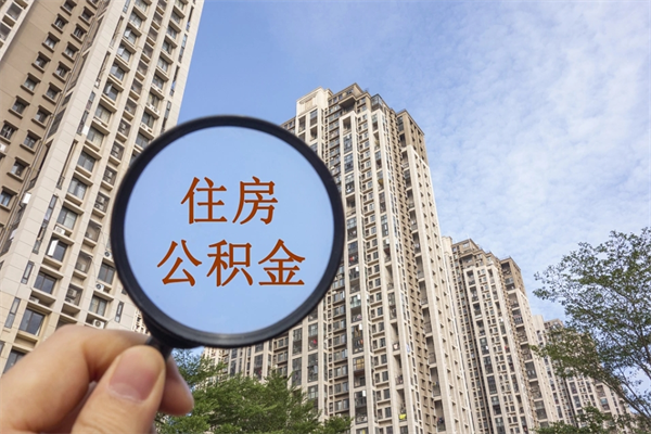 河池离职多久可以取住房公积金(离职多久后能取公积金) 河池离职多久可以取住房公积金(离职多久后能取公积金)
